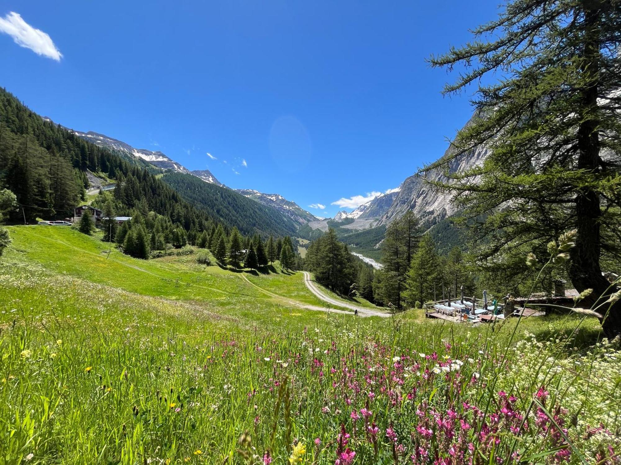 Chez Louis - Alpine Charm With Mont Blanc View & Access Courmayeur