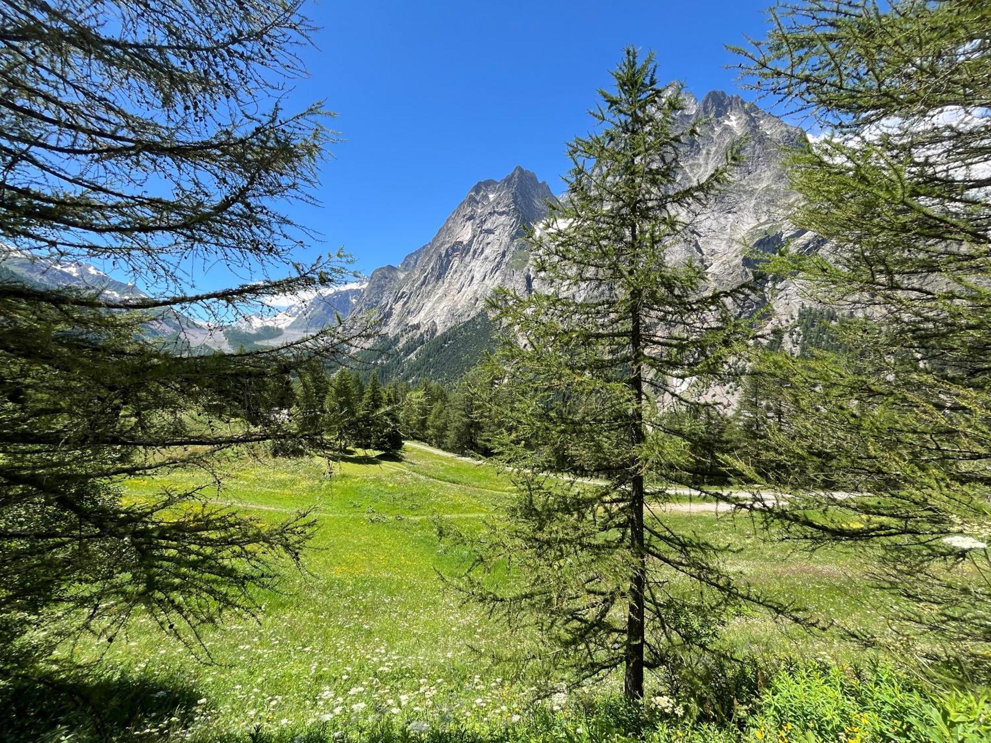 Chez Louis - Alpine Charm With Mont Blanc View & Access